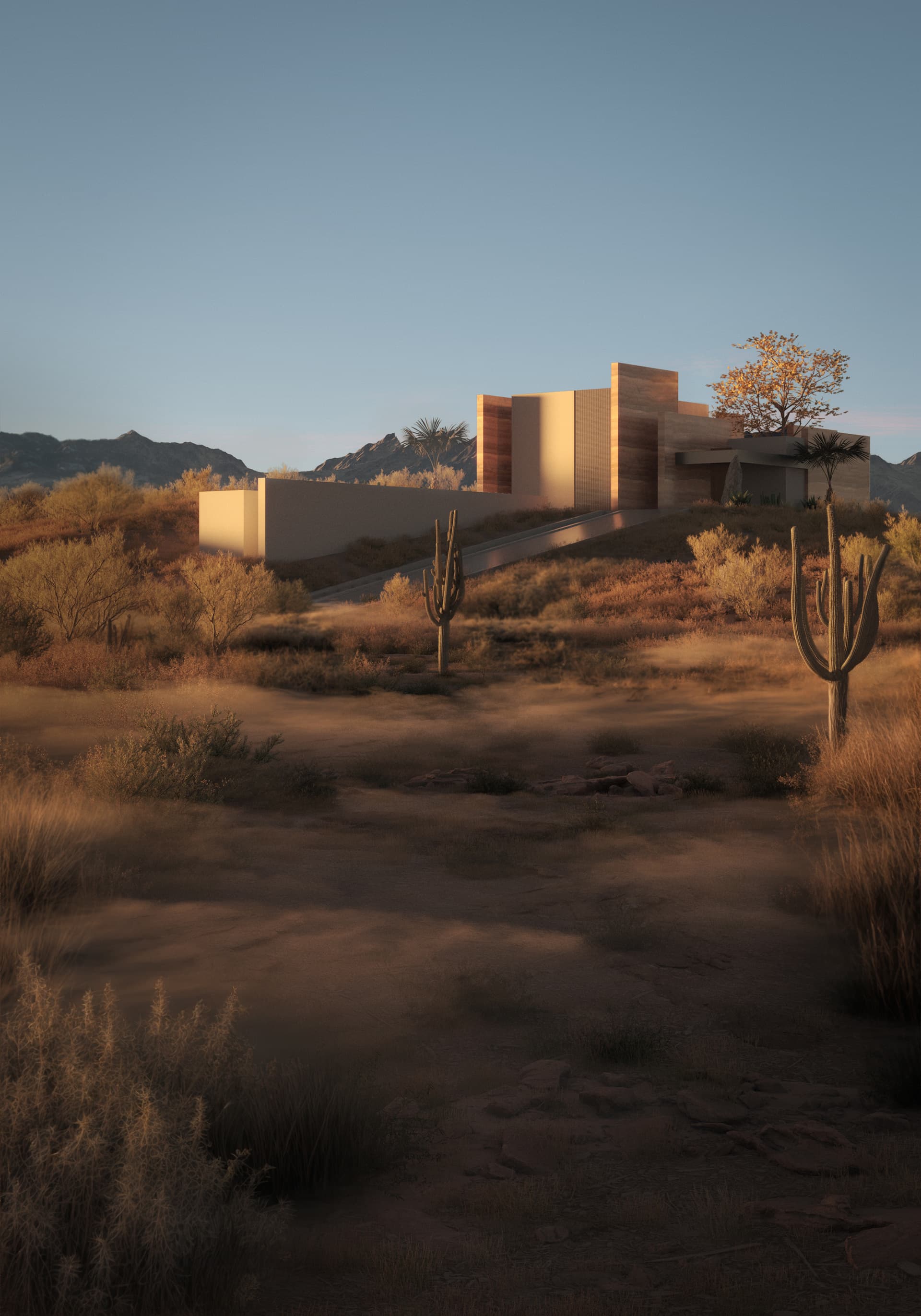 Silent Desert House